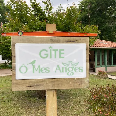 8 Personnes O Mes Anges *