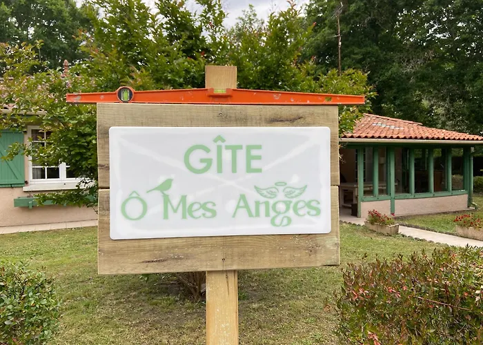 8 Personnes O Mes Anges *